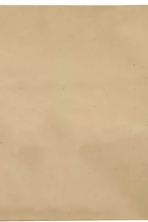 Sac papier pour aspirateur pour réf. 50006 - lot de 10 pcs Solde