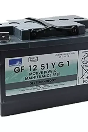 Paiement Sécurisé Batterie gel gf12051yg1 12v 56ah