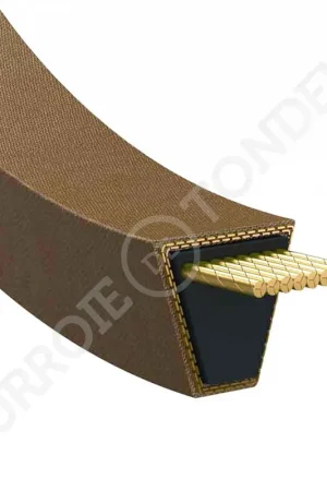 Courroie de transmission CASTEL GARDEN / GGP 1134-9098-01 / 9585-0148-01 1134-9098-01 Prix Choc